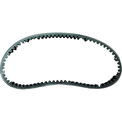 CORREA CYGNUS 125 ZR RAY BJ