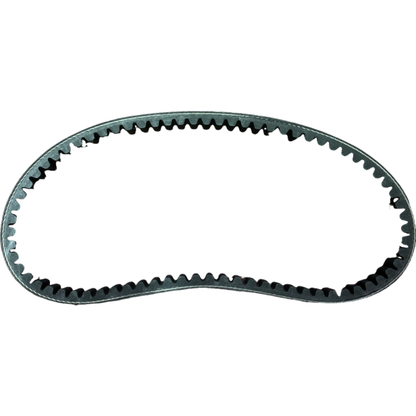 CORREA CYGNUS 125 ZR RAY BJ